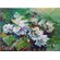 Картина маслом "Белые пионы" на холсте раскидистый куст с цветами