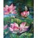 Тихое, спокойное озеро с цветущими лотосами на картине "Цветение лотосов"