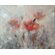 Картина "Маки в тумане" художника Нина Дивинская Волгоград